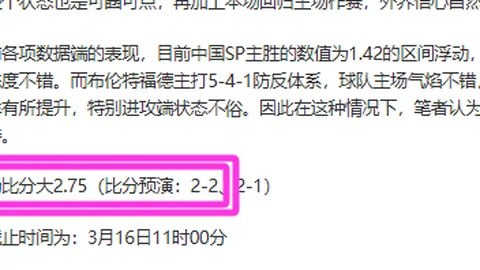 20岁新星表现耀眼，连续6战贡献14分10助，球队新星潜力初现！