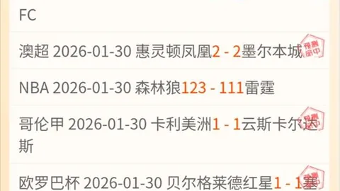 阿根廷国家队荣耀时刻：马丁内斯刷新第50场出场纪录
